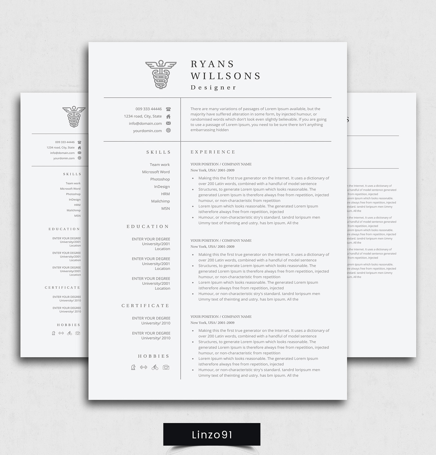 a4 CV CV template elegant elegant resume female female resume feminine InDesign infographic