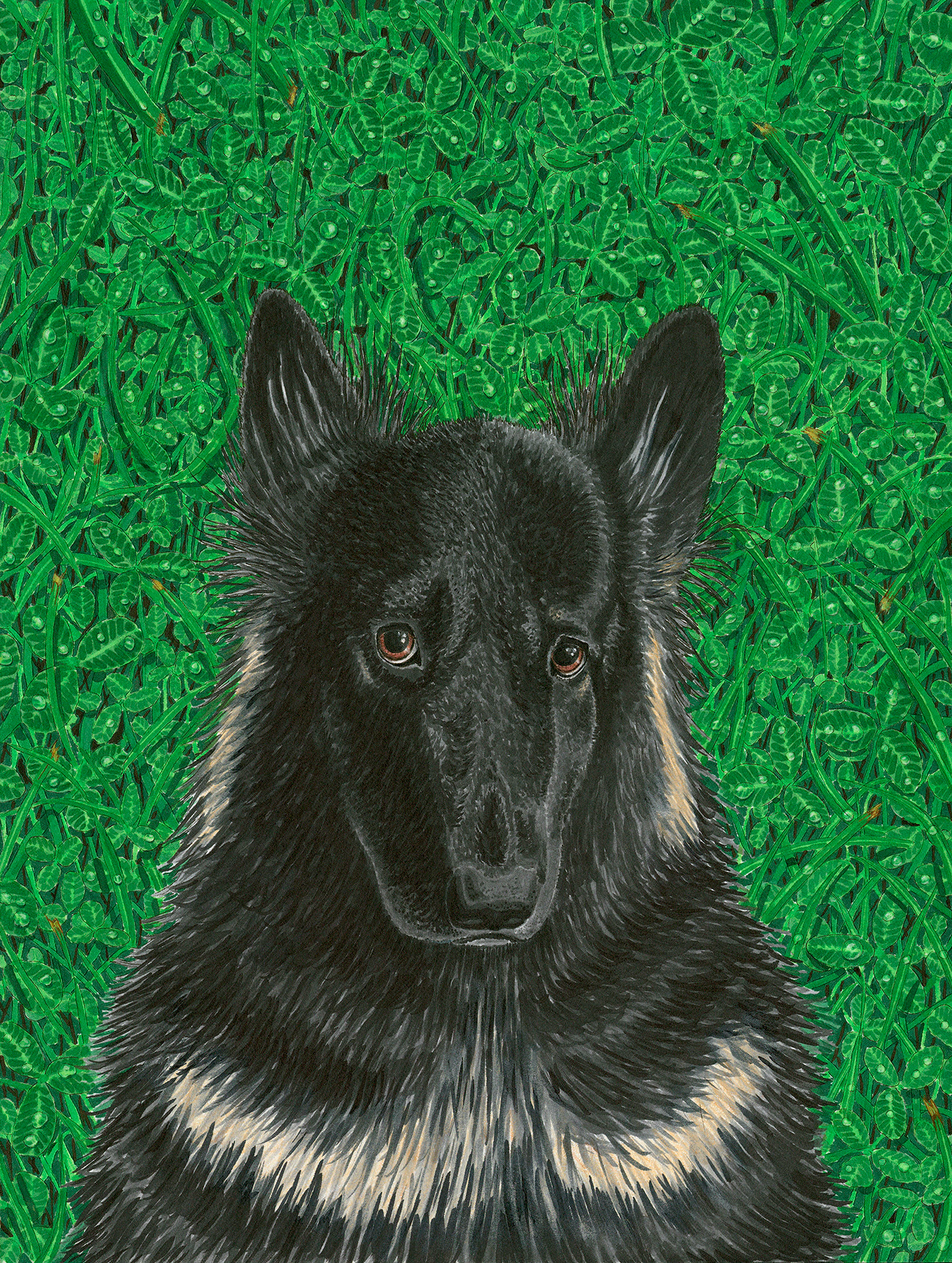 dog portrait copic markers leaves grass dew drops greenery black Drawing  ILLUSTRATION 