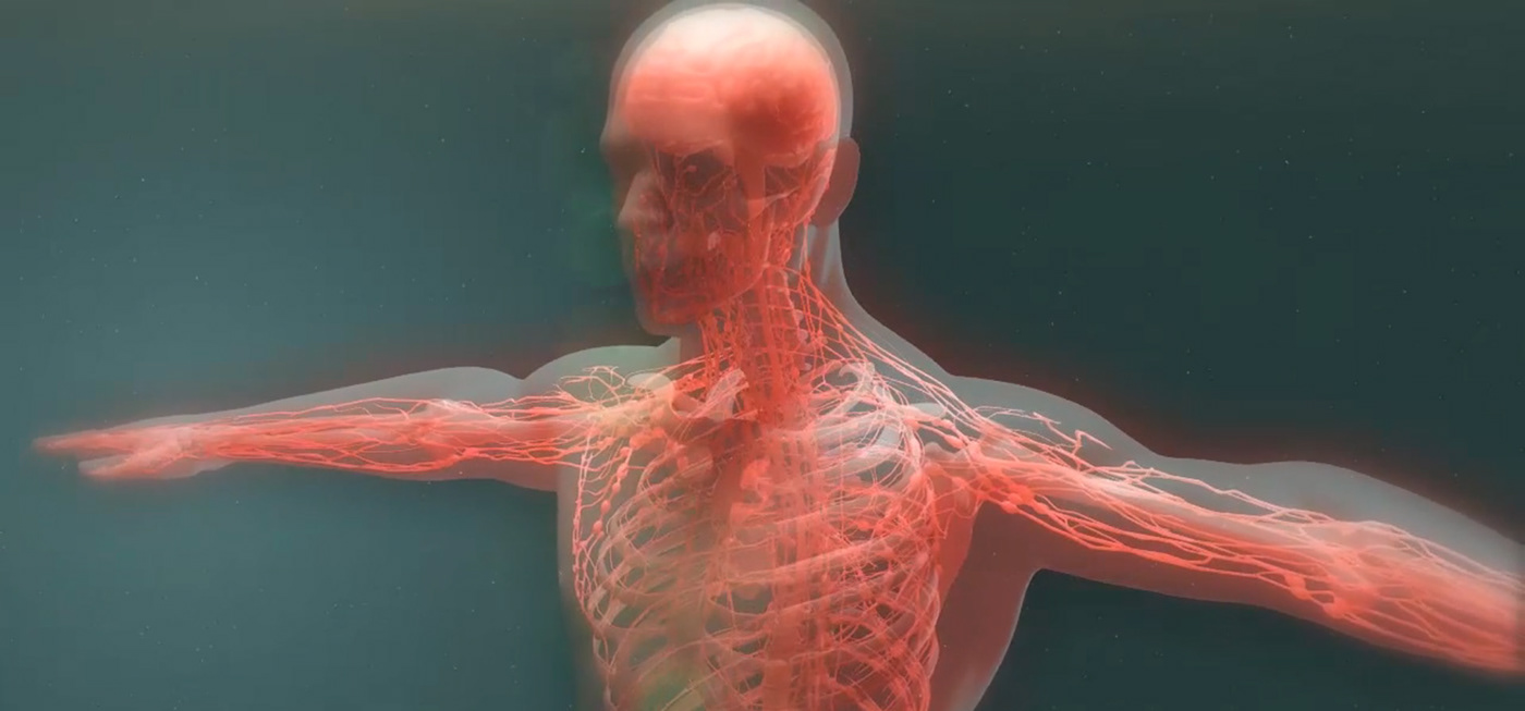 medical modelado animacion 3D vray 3ds max 3fx medical illustration CGI