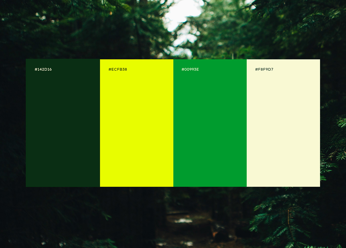 adventure branding  design green identity Nature yellow logo brand brand identity