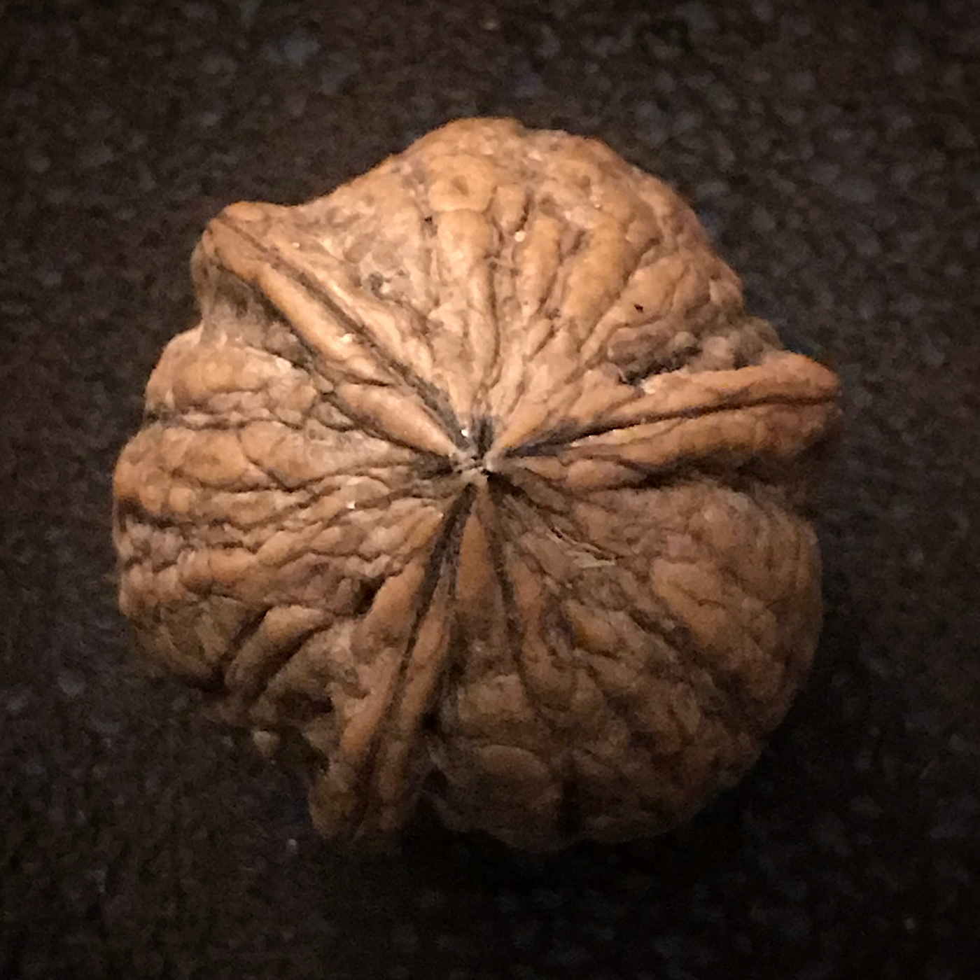 walnut three pieces