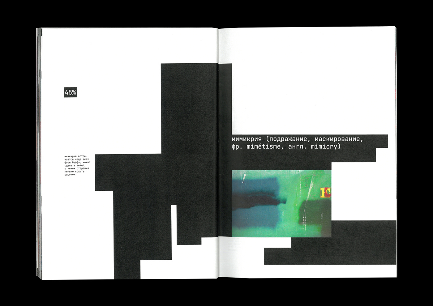 book design Zine Design typography   book magazine cover