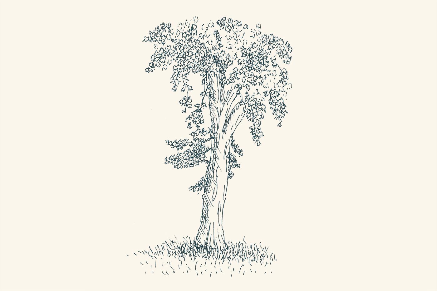sketches Nature artwork Felt-tip pen and ink moleskine sketchbook trees Landscape foliage paper