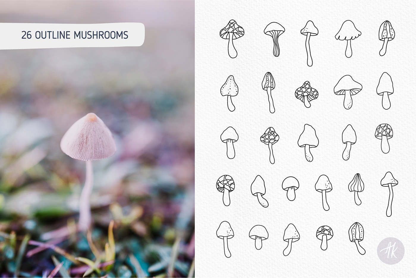 amanita celestial Fungi magic mushroom Magical mushroom illustration Mushrooms mystical psychedelic vector