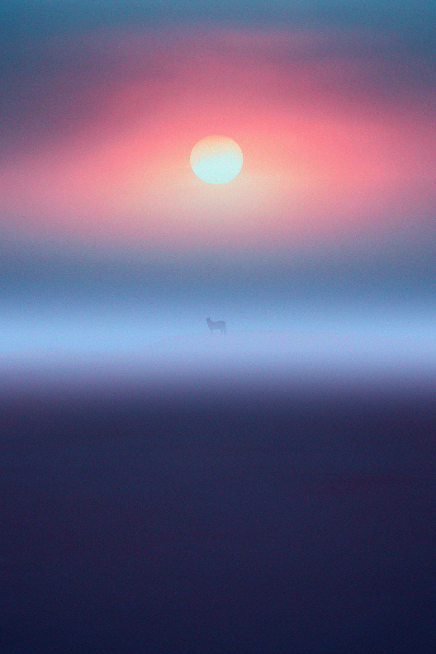 desert fog Landscape mist Nature photographer Photography 