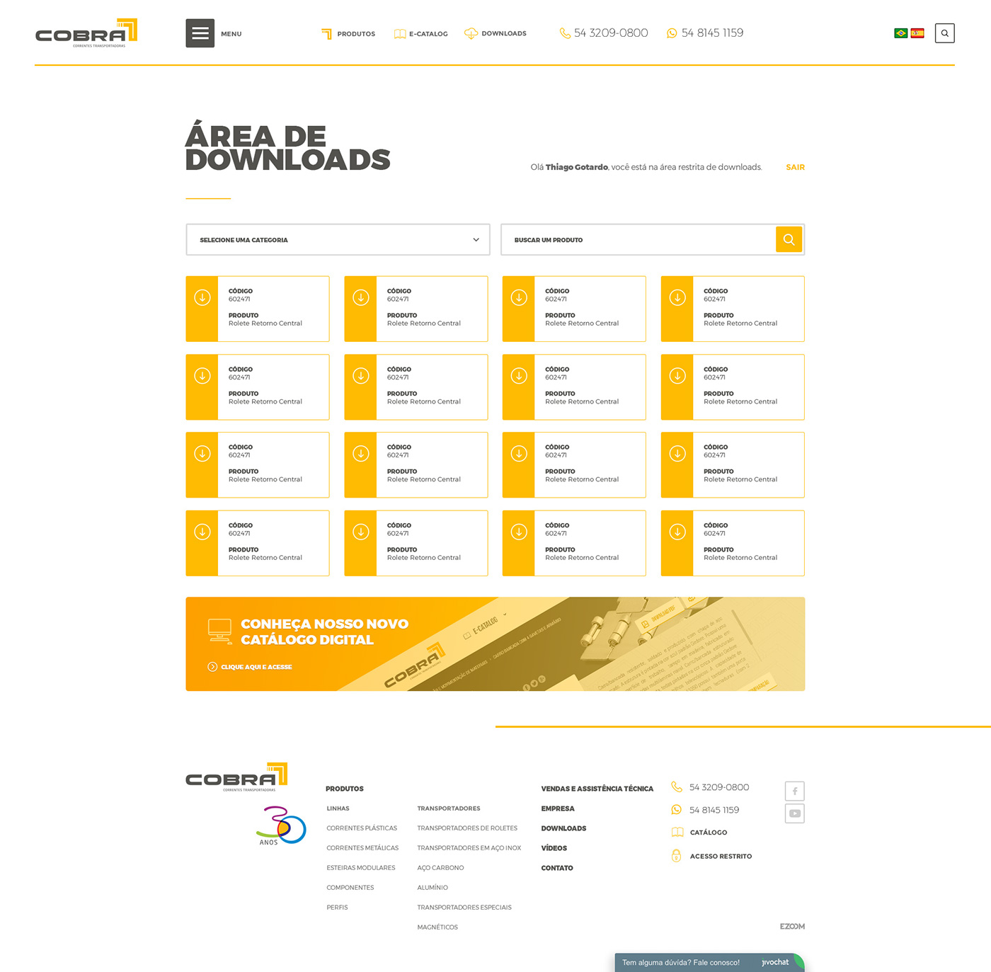Web Design  design industry Web digital Website site