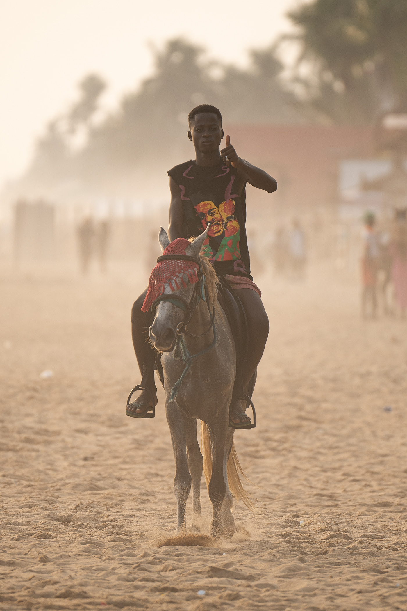 beach africa Travel horses IvoryCoast cheval cote divoire