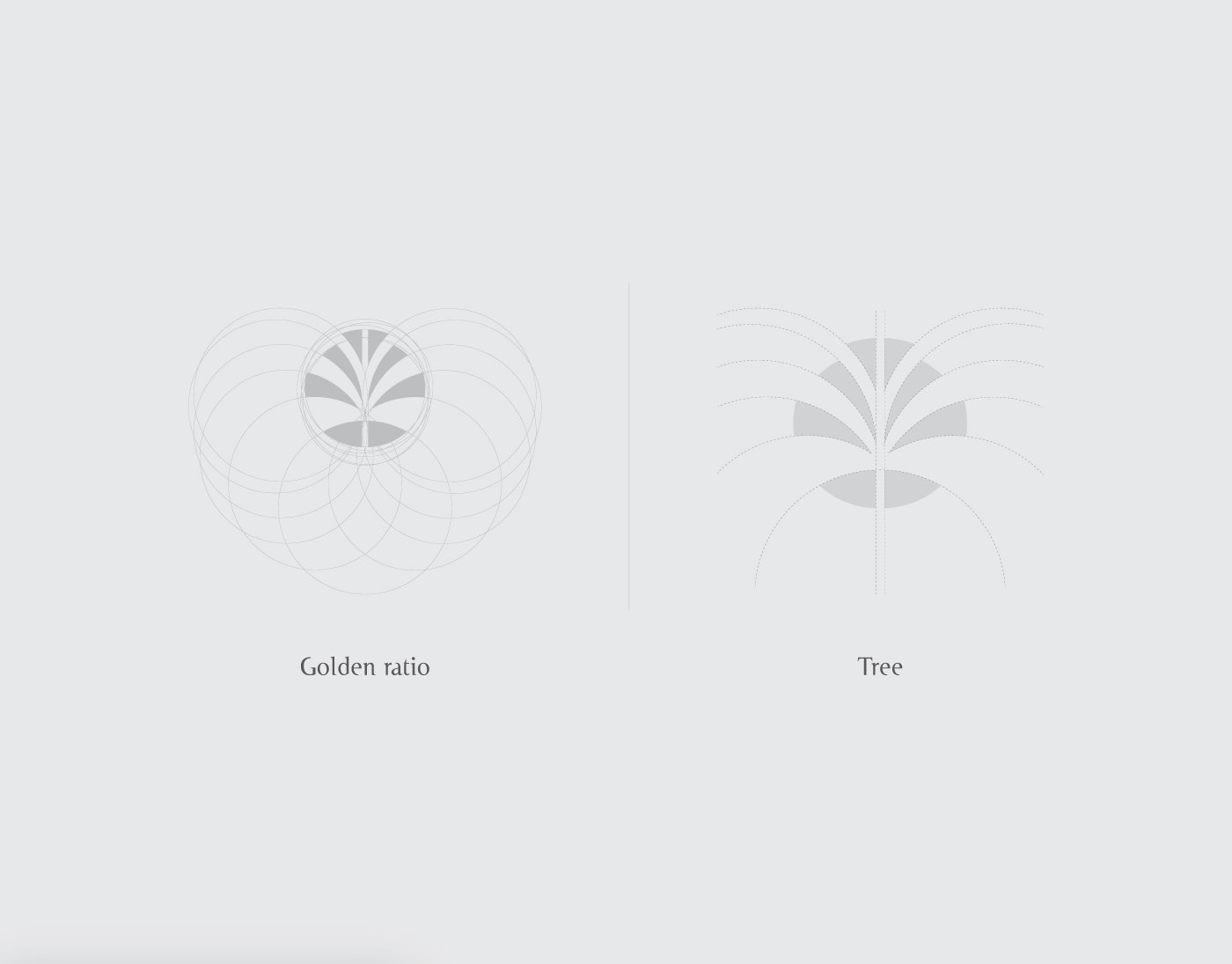 adobe illustrator brand identity ctreative logo Golden Ratio Logo Design minimalist Modern Logo royal Tree  Tree Logo Design