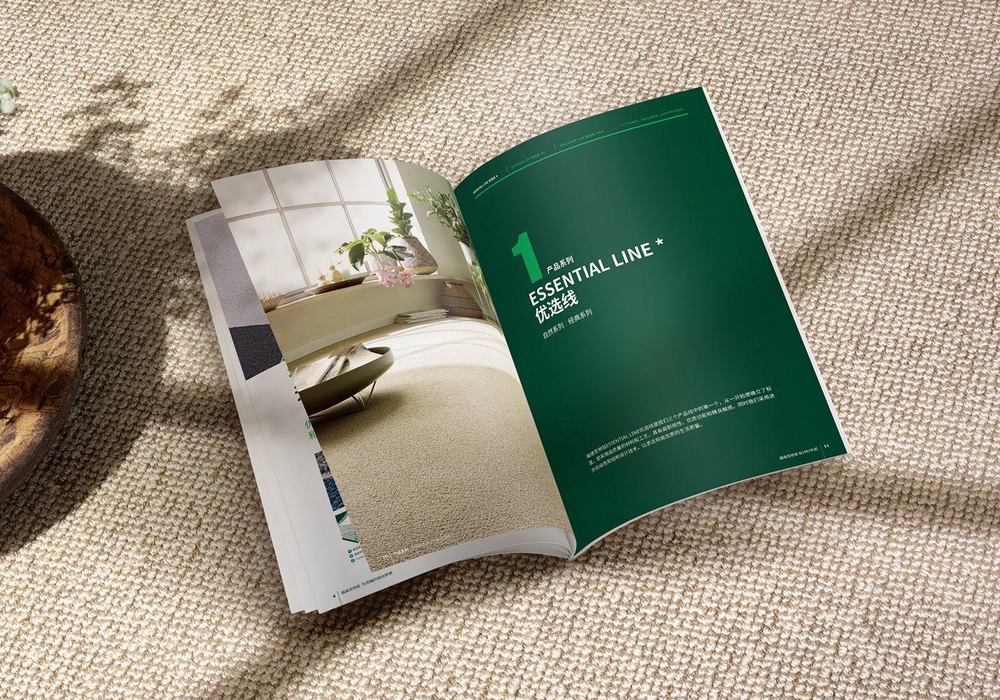 banding brochure design editorial design 