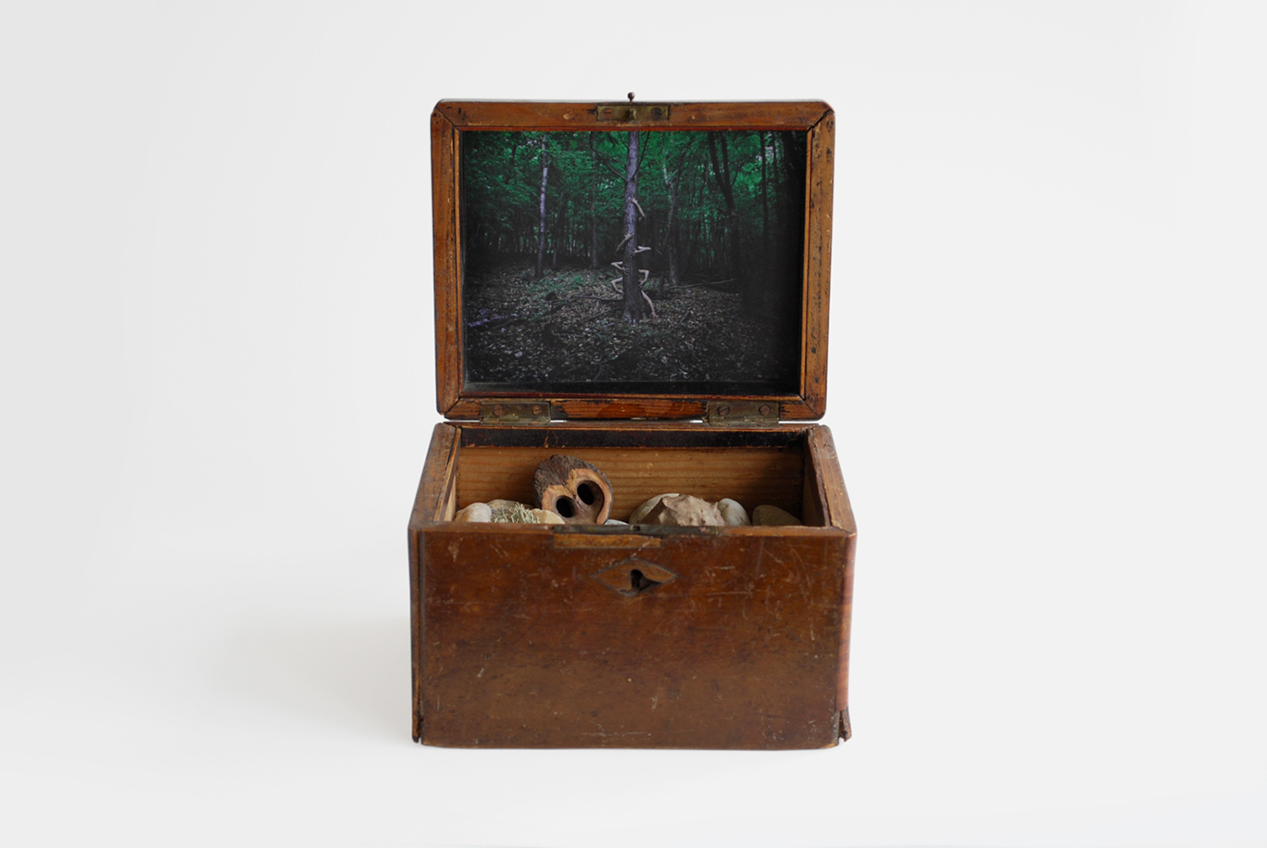 Photography  staged photo Wooden box concept art pandora's box box installation hands arms
