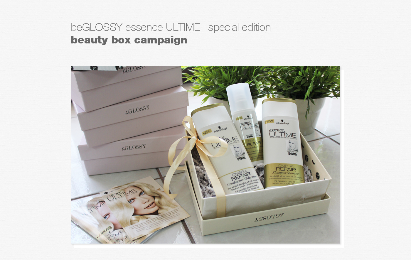 beGLOSSY GlossyBox box design box template cosmetics Schwarzkopf hair ESSENCE ULTIME
