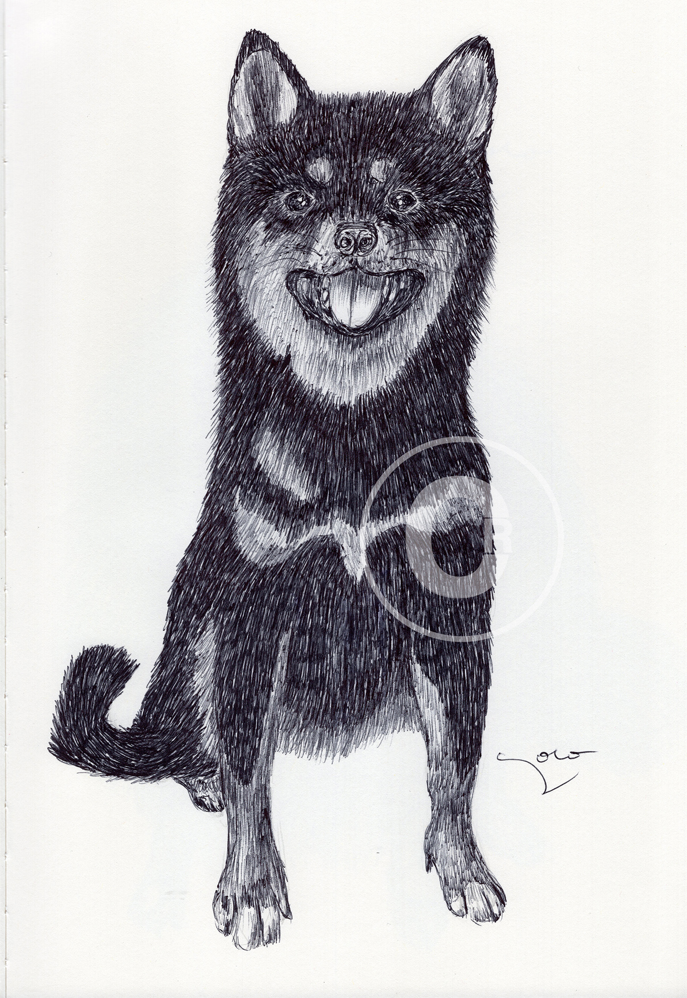 dog animal Drawing  artwork artist ballpen ballpen art ballpendrawing ballpensketch