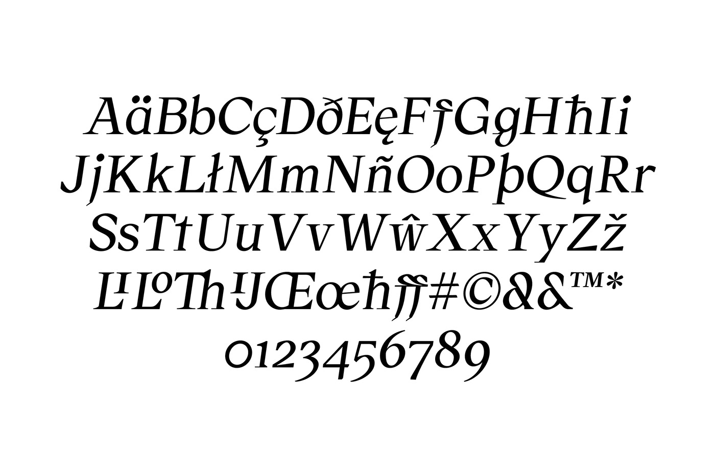 typography   font Typeface design typedesign