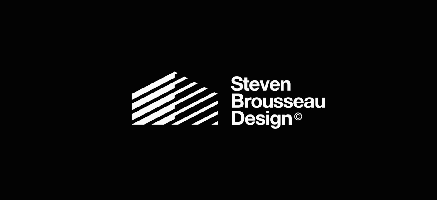 Brand Design brand identity branding  Corporate Identity identity Identity Design logo Logo Design Logotype panter vision