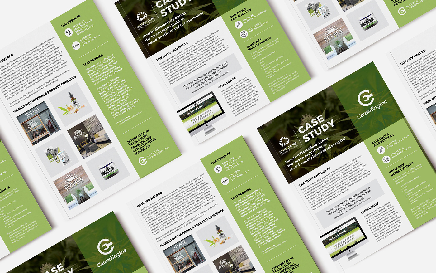 non-profit Case Study handout flyer one-pager graphic design  print marijuana veterans
