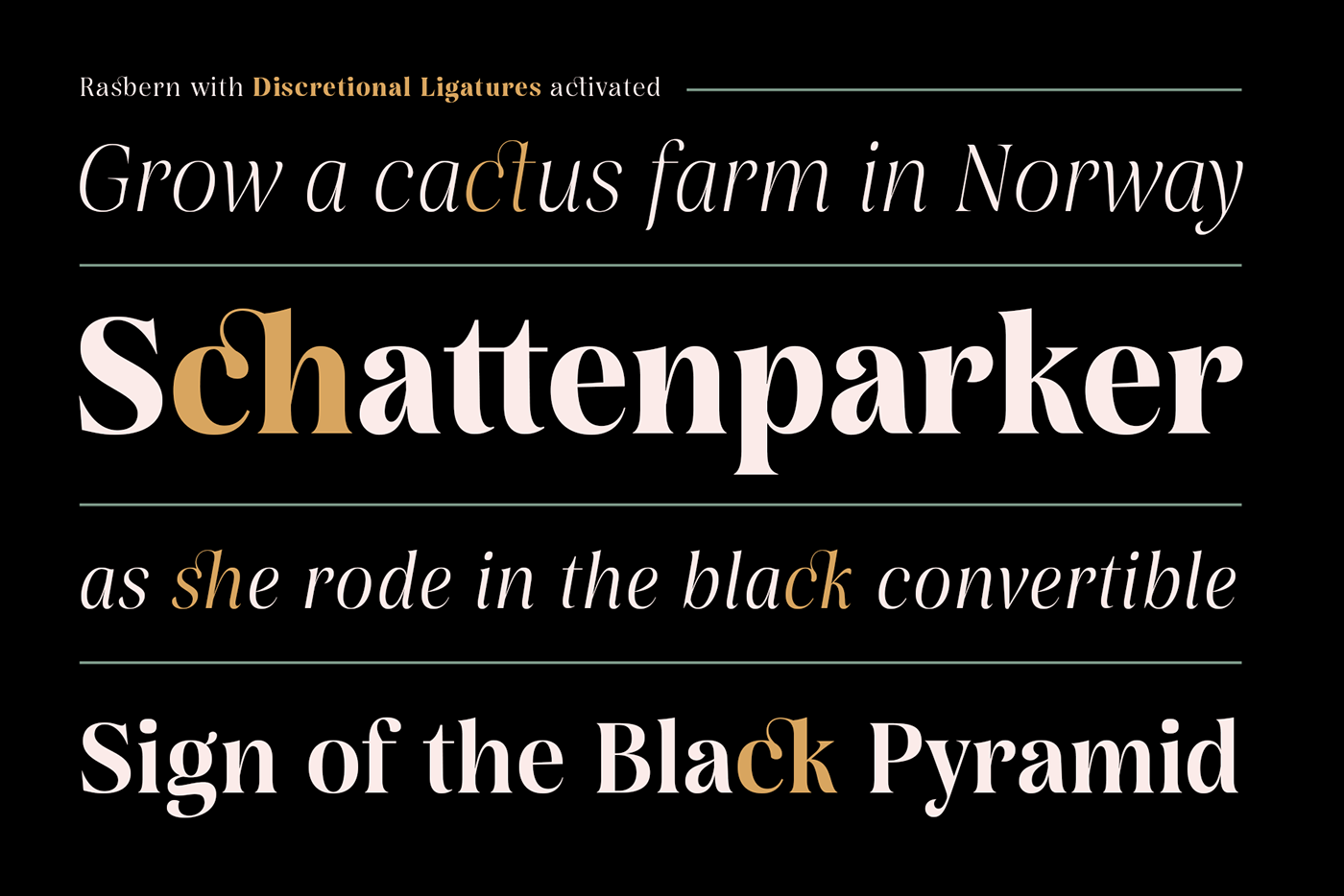 brand identity Display font Free font serif type design Typeface typography  