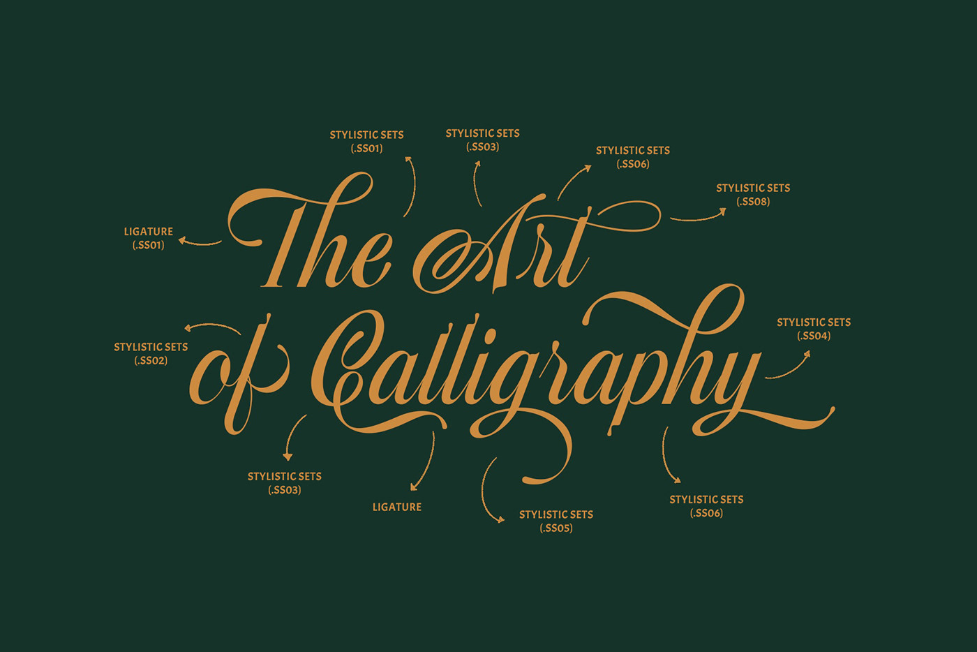 type design Typeface typography   Graphic Designer font lettering Calligraphy   Script elegant modern