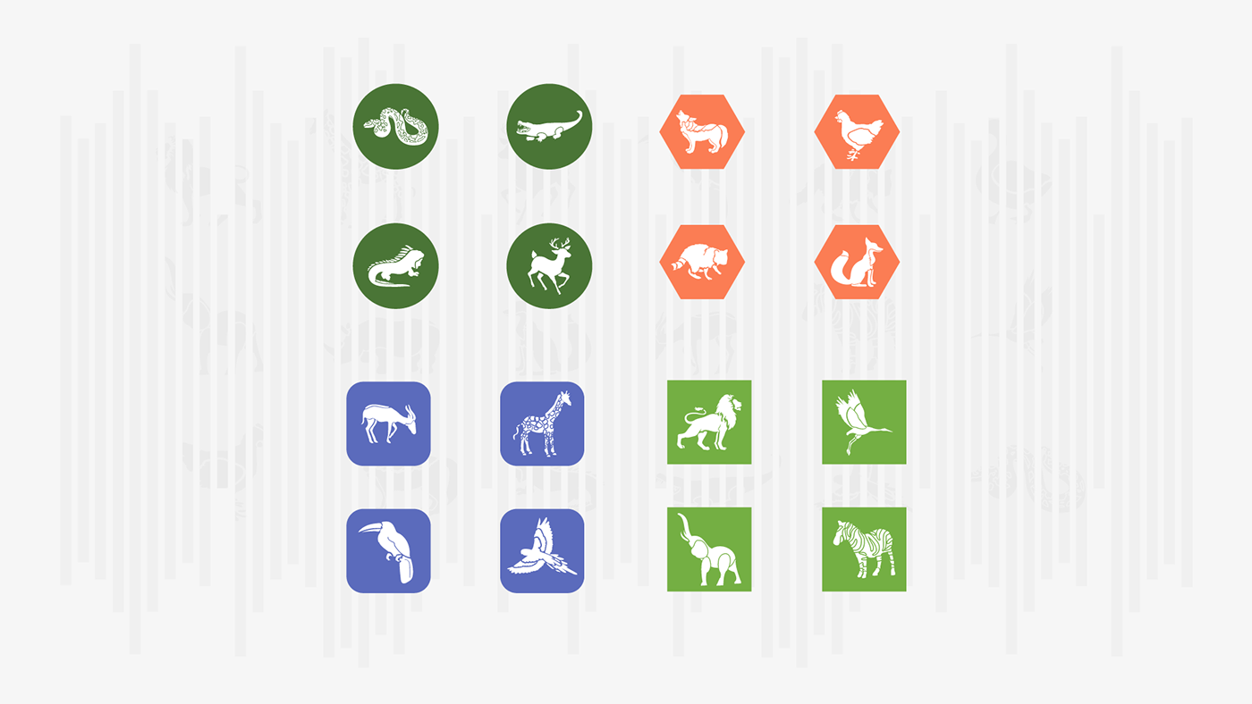 Media Design icon design  icon set minimalist icon icon minimal Icon animals vector zoo