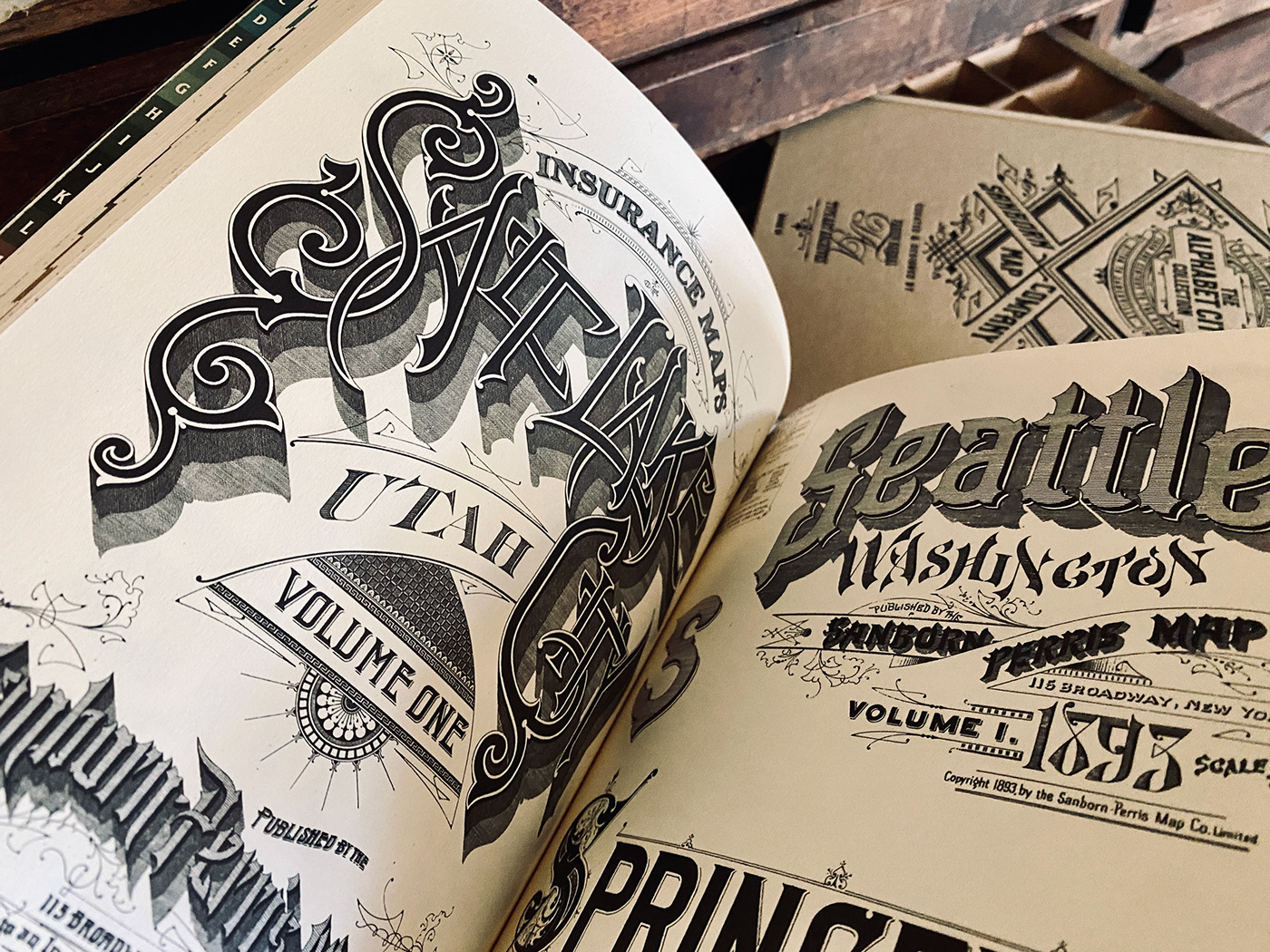 typography   book design book lettering letterpress print hotfoil