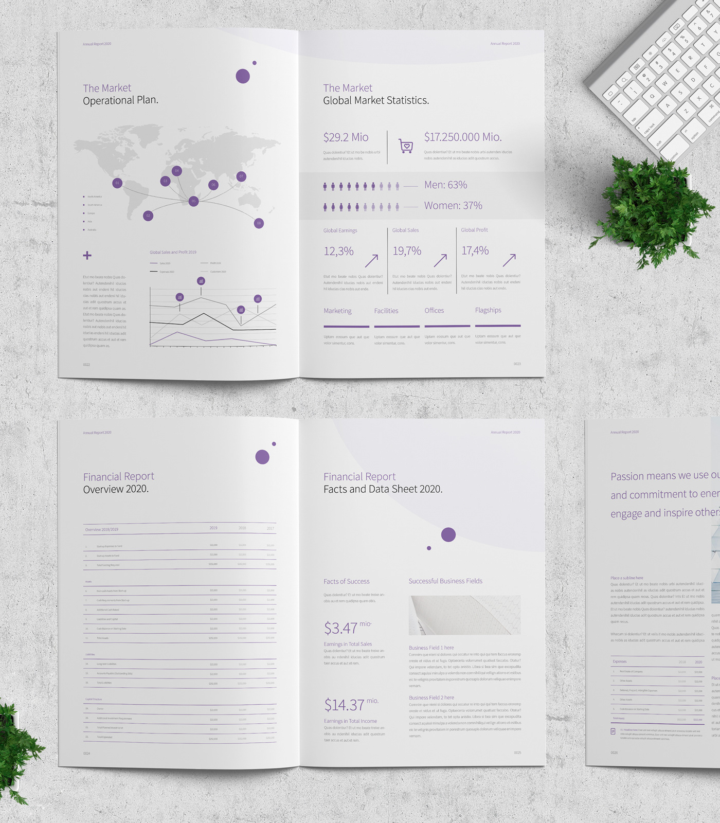 ANNUAL business company corporate Data design infographic profile report statistics