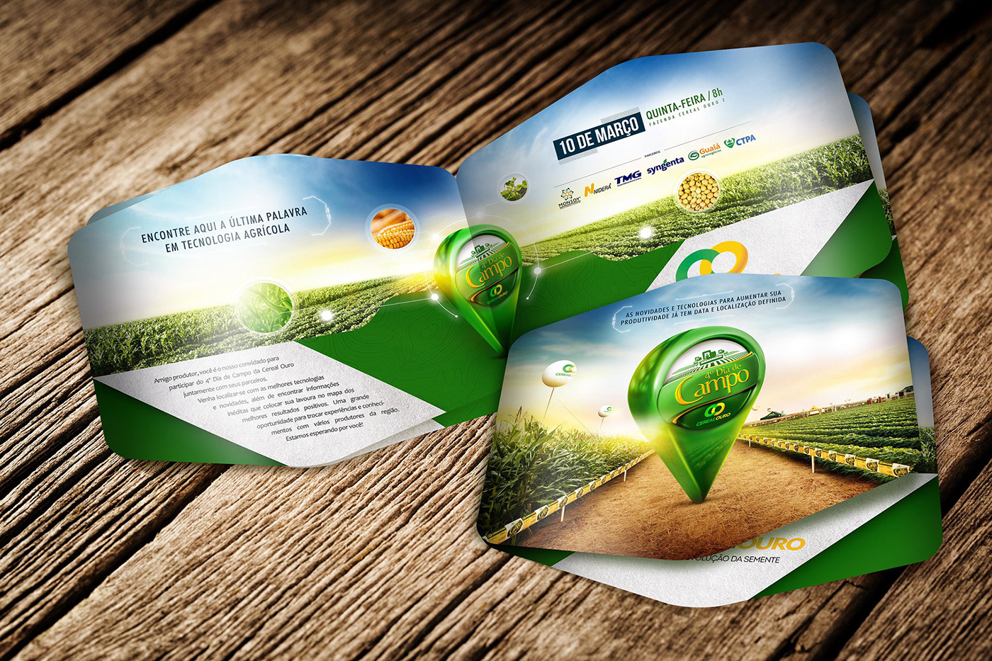 agricultura agriculture Agro Agronegócio banners Fazendas Folders identidade visual marketing   Redes Sociais