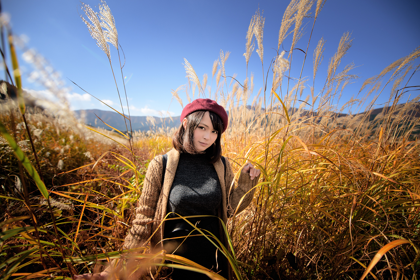photo portrait woman model girl pretty Beautiful autumn golden grass
