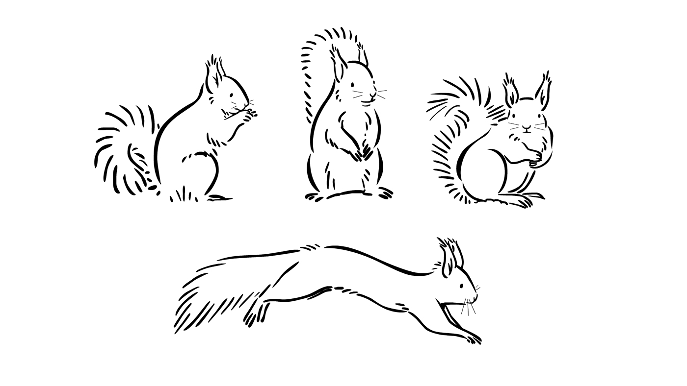 Character design  animals magpie squirrel dog