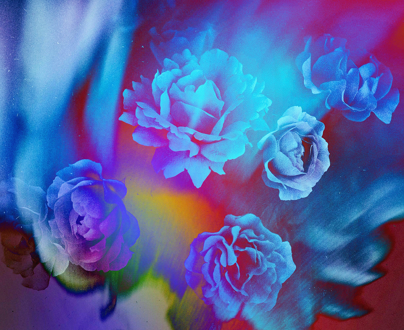 colorful digital Digital Art  Flowers rainbow Roses trippy