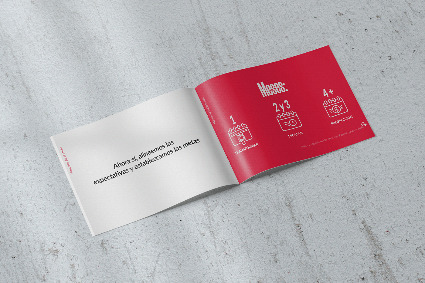 brochure brochure design brochuredesign brochures corporate design brochure diseño de folleto folleto folleto corporativo Folleto informativo