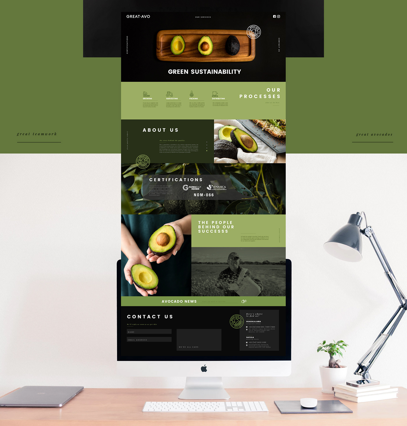 avocado Web design green healthy Food  editorial brand reticle