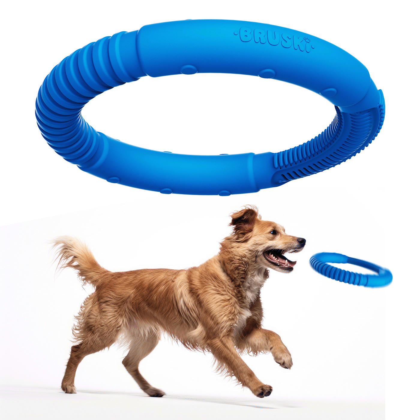 DENTALCARE industrialdesign productdesign rubber DISEÑOINDUSTRIAL dogs cattoy dogproduct dogtoy