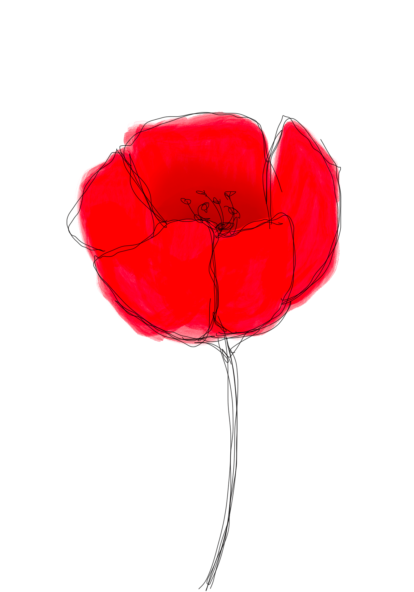 coquelicot encrage fleur flower red rouge