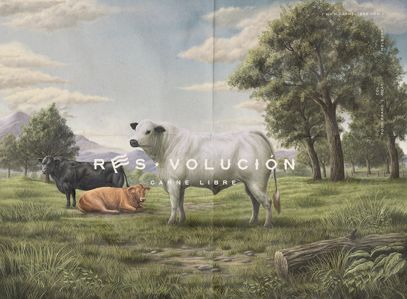agriculture animals branding  cow farm food brand identity meat Nature ux/ui