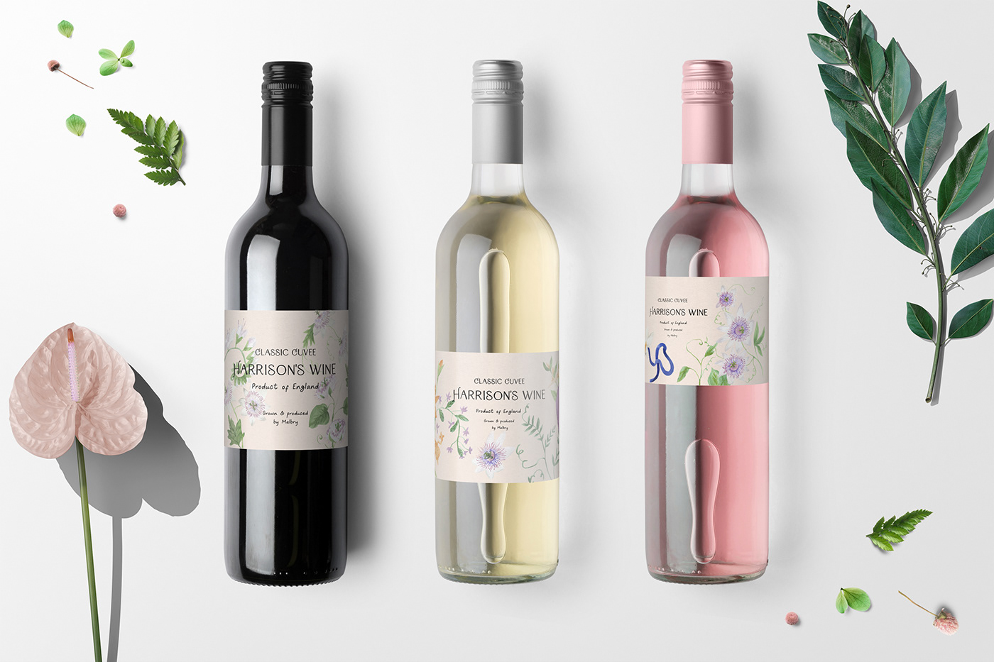 drink Packaging brand identity Graphic Designer adobe illustrator Brand Design packaging design watercolor illustration wine label Wine Bottle