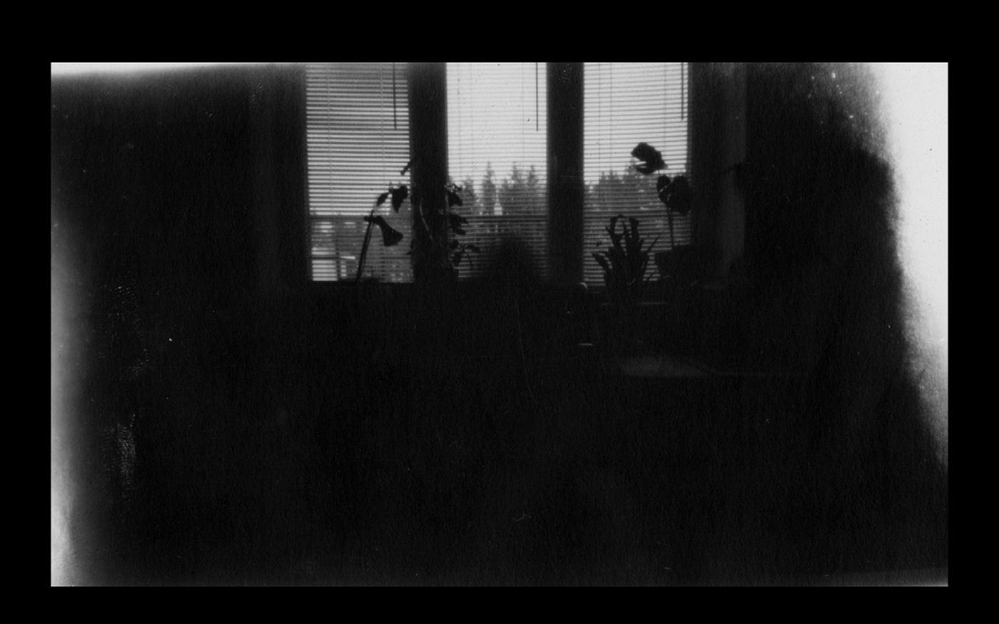 pinhole Photography  black and white monochrome alternative experimental analog photography Nature SKY analog