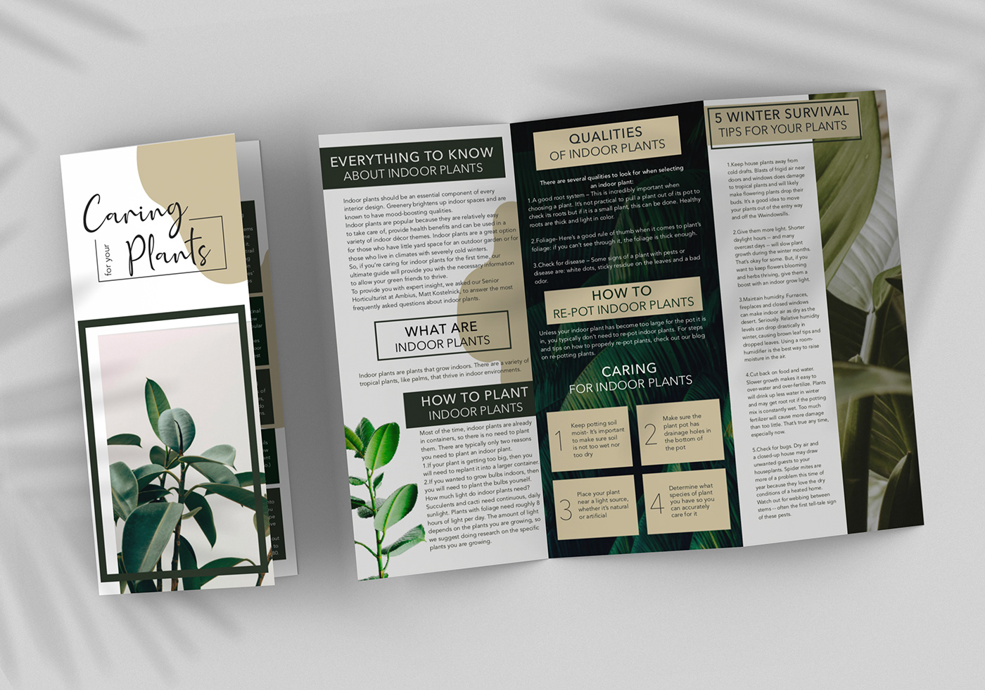 brochure design brochure layout layout inspiration  plants print design  Z-Fold Brochure