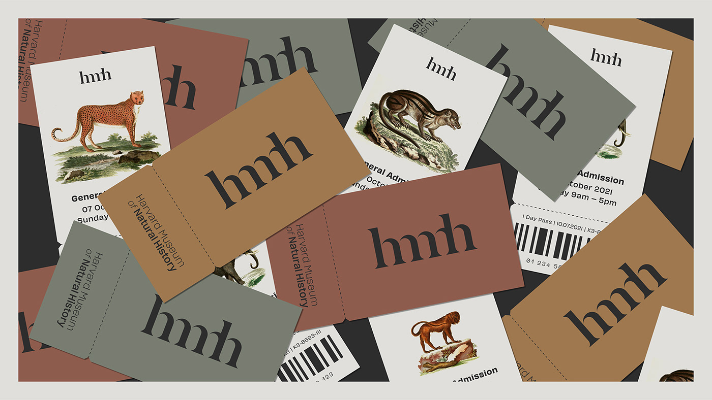 biology brand identity branding  editorial museum natural history Nature poster UI Website