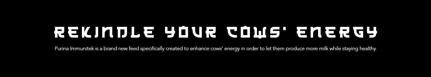 Advertising  Purina cow energy print farm 3D Cargill Archive