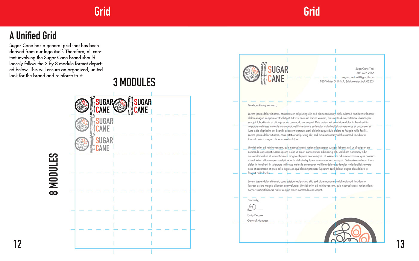 manual design brand identity Logo Design branding  Logotype adobe illustrator Booklet spread