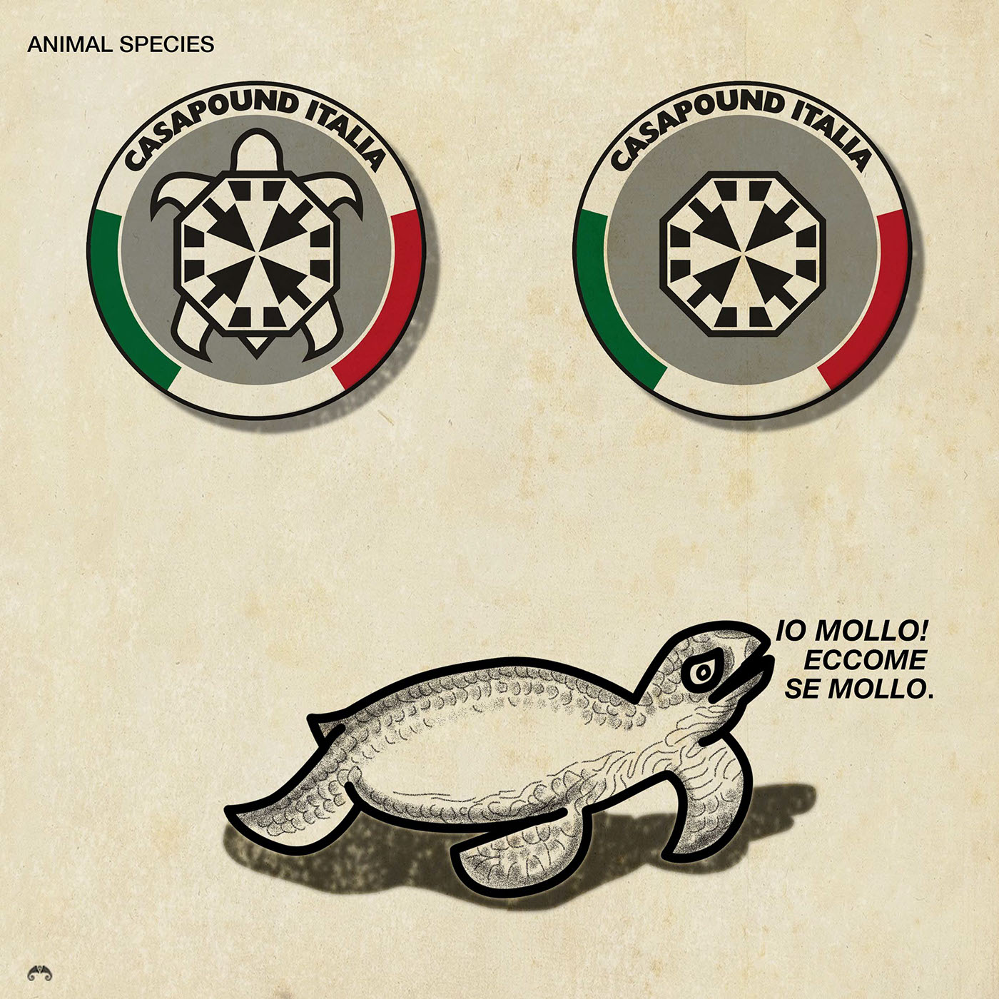 Turtle casapound neofascist party logo ILLUSTRATION  politics political symbol