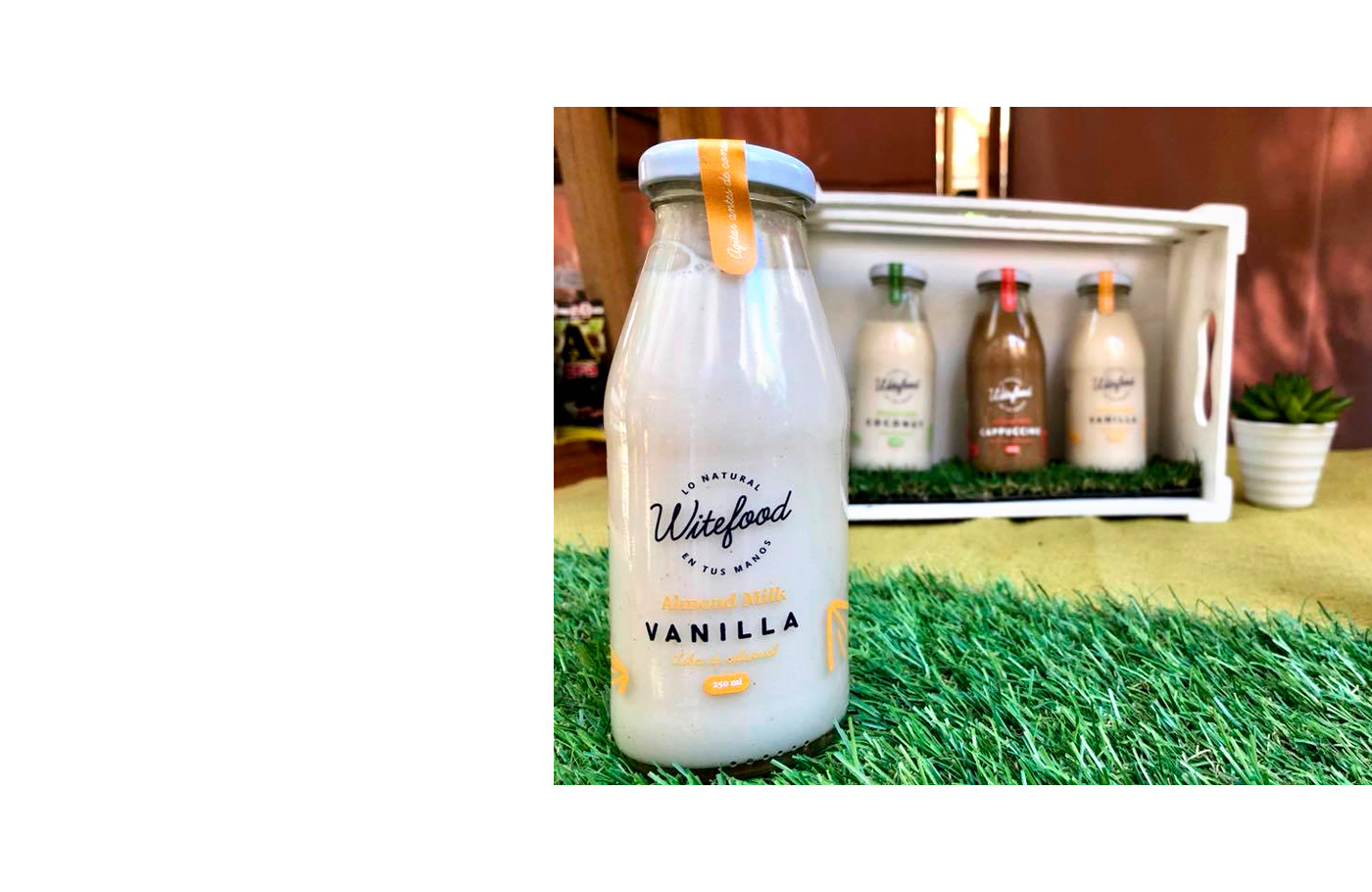 branding  milk Food  graphic design  logo Packaging vintage visual identity brand identity Corporate Identity