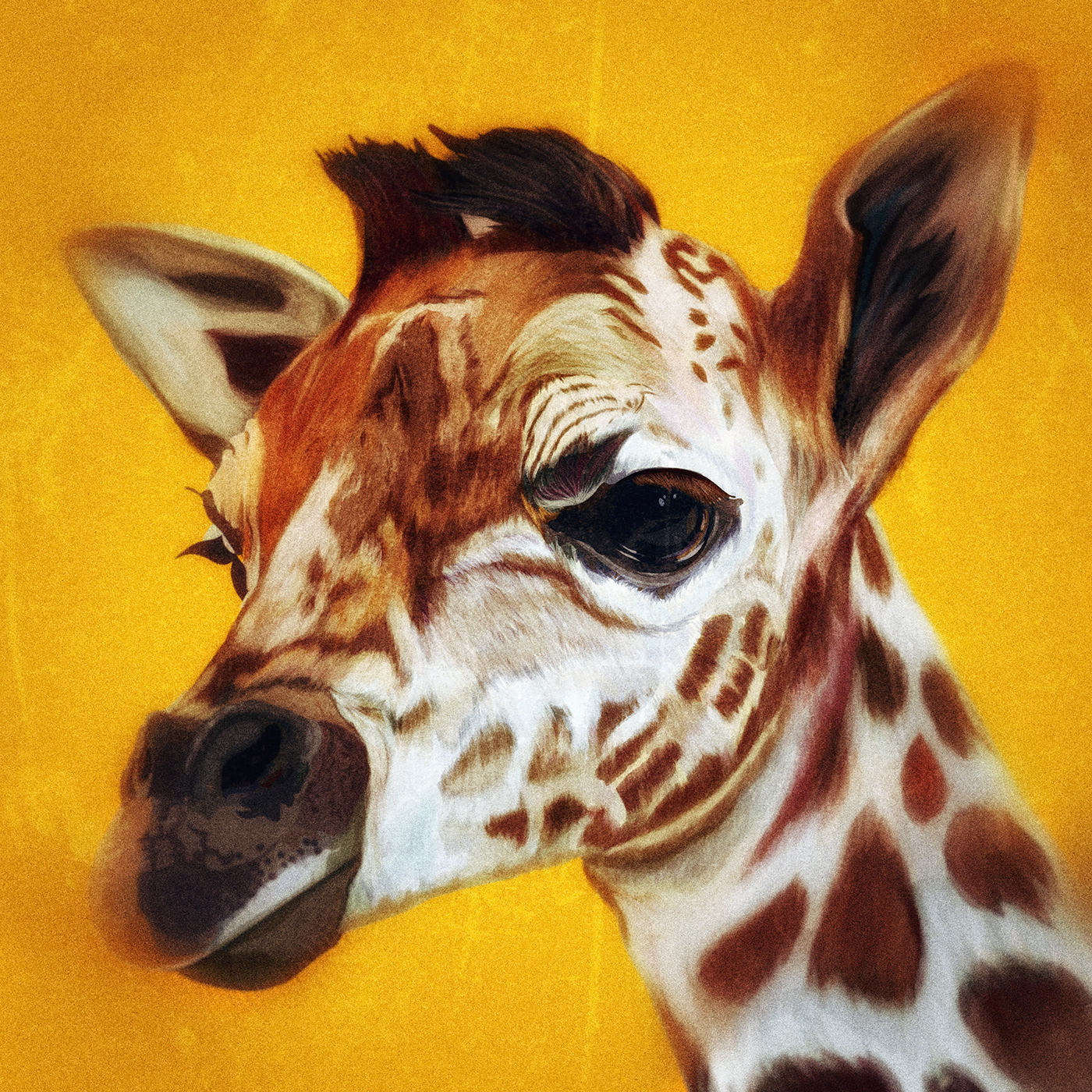 giraffe jirafa animal adobe fresco ILLUSTRATION  Digital Art  vector olbap olbapdesign Drawing 