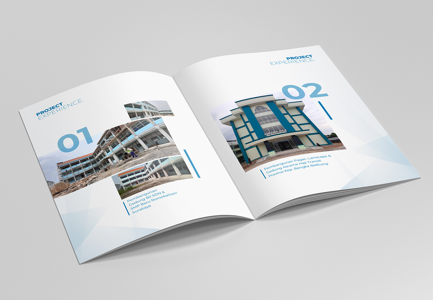 book brochure company profile design editorial editorial design  Layout