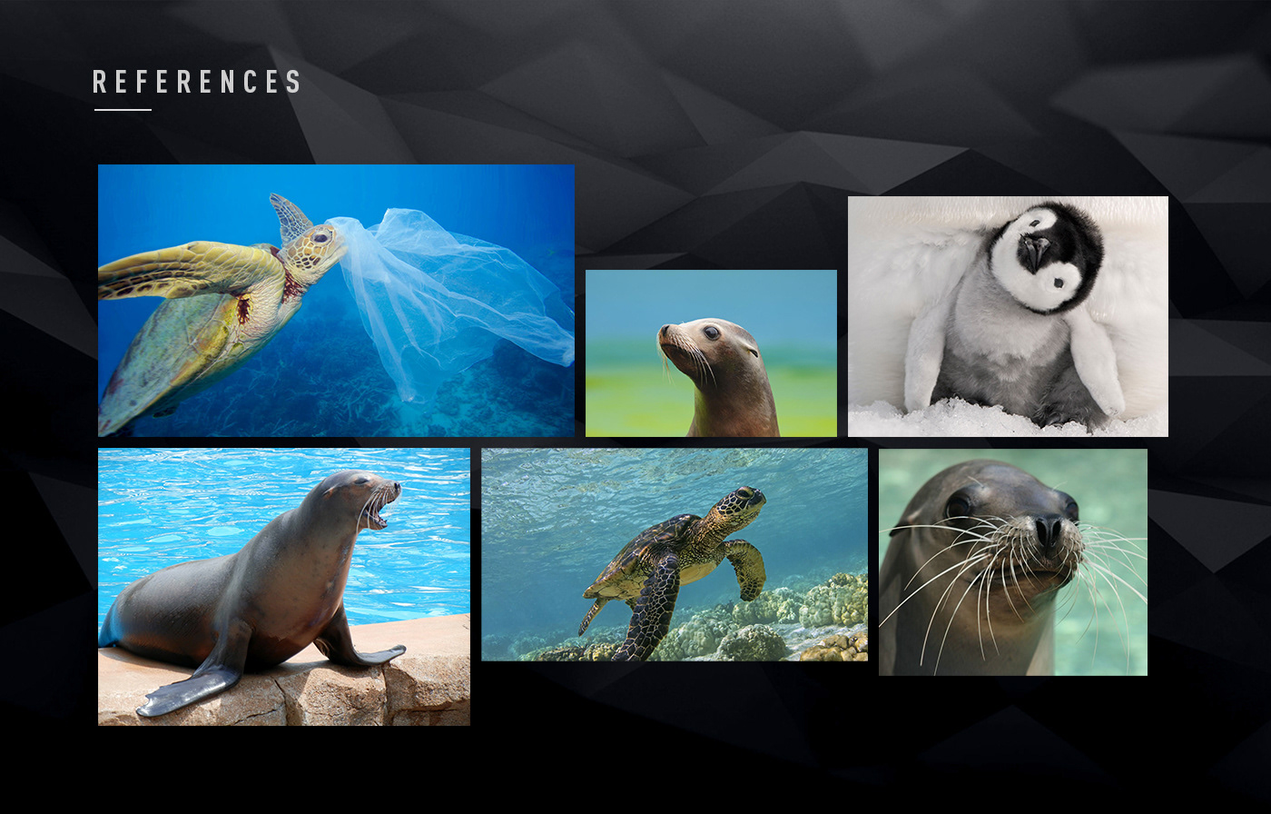 animal marineanimals plastic Ocean CGI digitalart graphic
