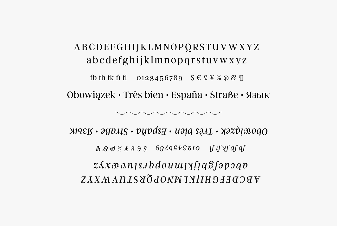 type serif font Classic classy tall open airy black and white b&w cold