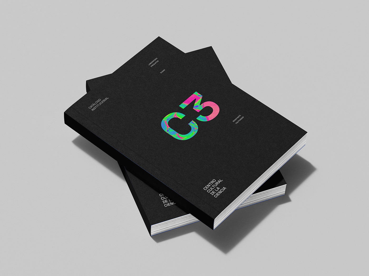 TIF tesis uade editorial graphic design  book Layout brand identity InDesign science