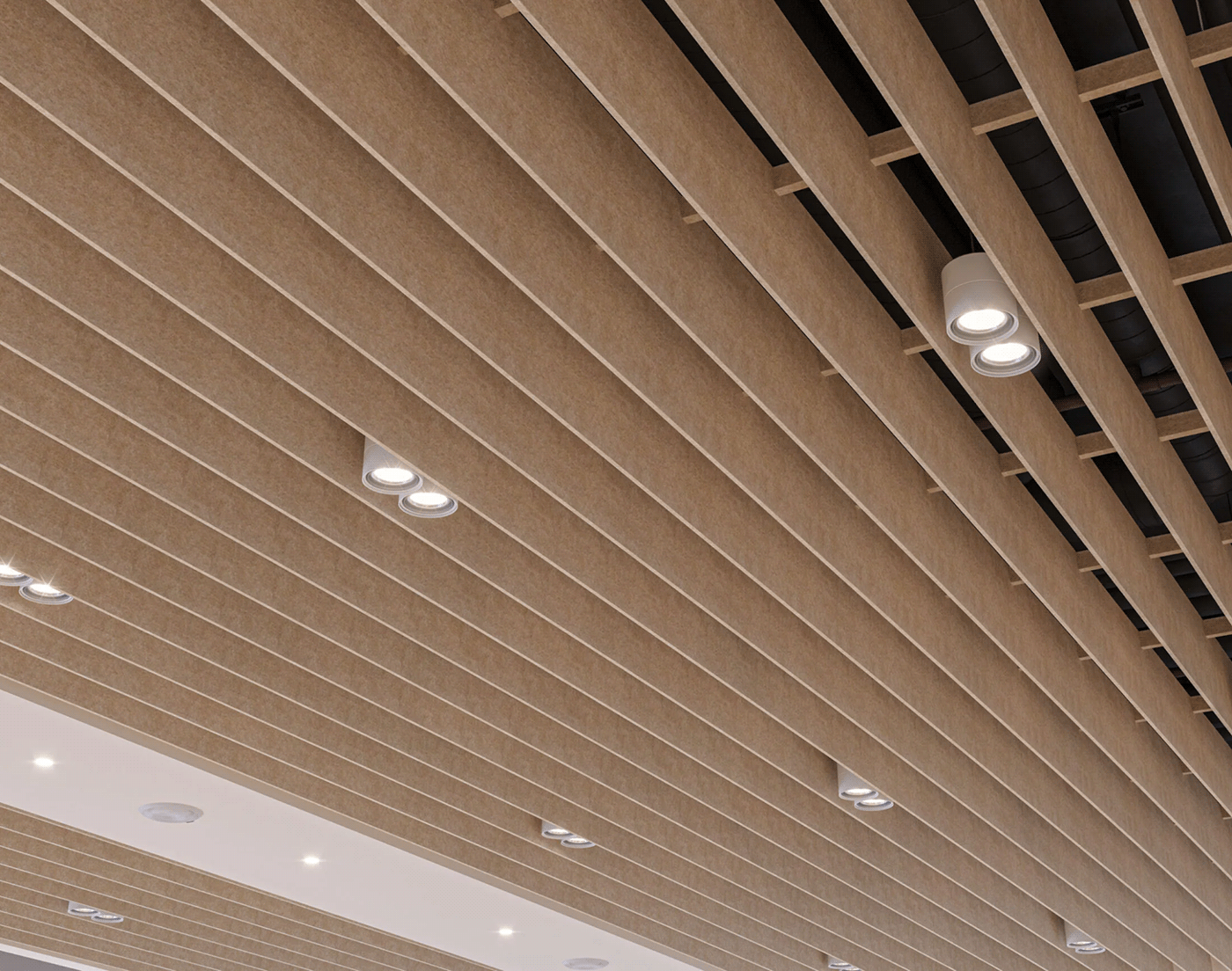 architecture interior design  ceiling amsterdam The Netherlands