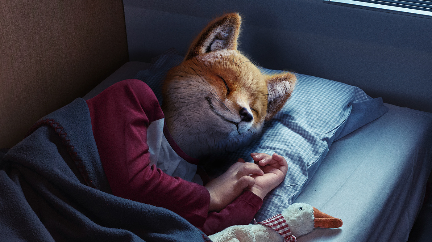 animals FOX CGI Travel compositing retouching  Fur Advertising  train Coach