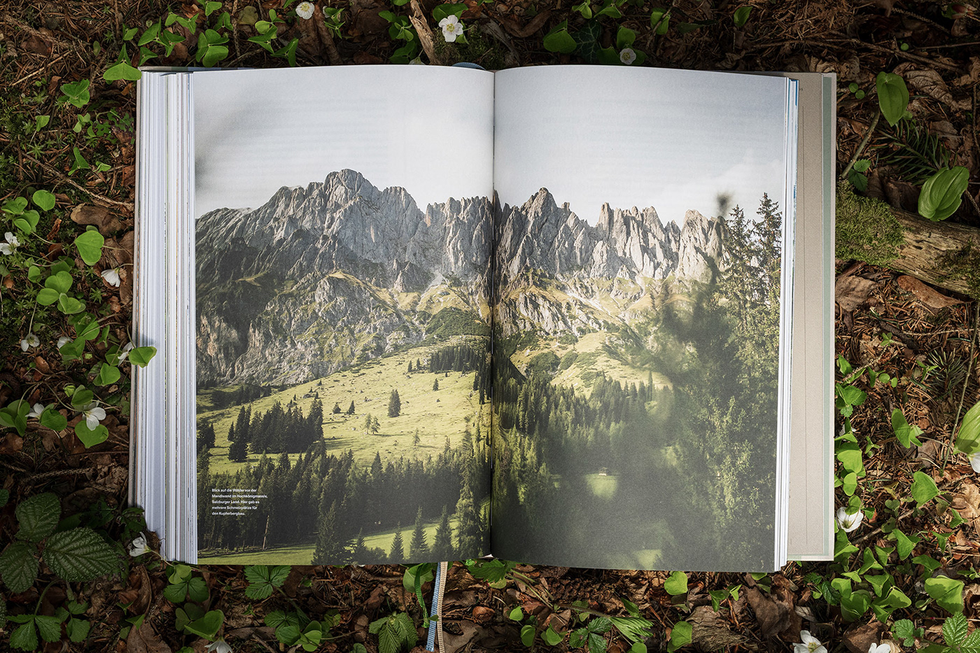 alpineforest Bookdesign graphicdesign wirsindartisten