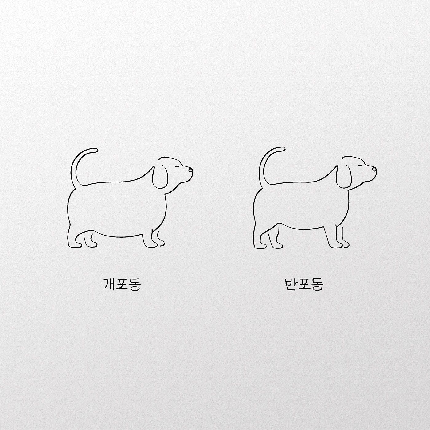 simplicity ILLUSTRATION  linedraw doodle artwork Drawing  croquis graphic